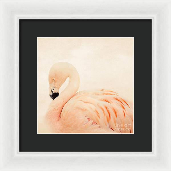 Pink Flamingo - Framed Print