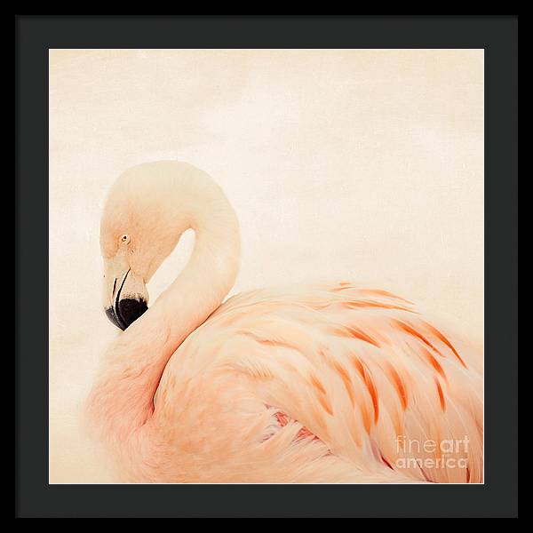 Pink Flamingo - Framed Print