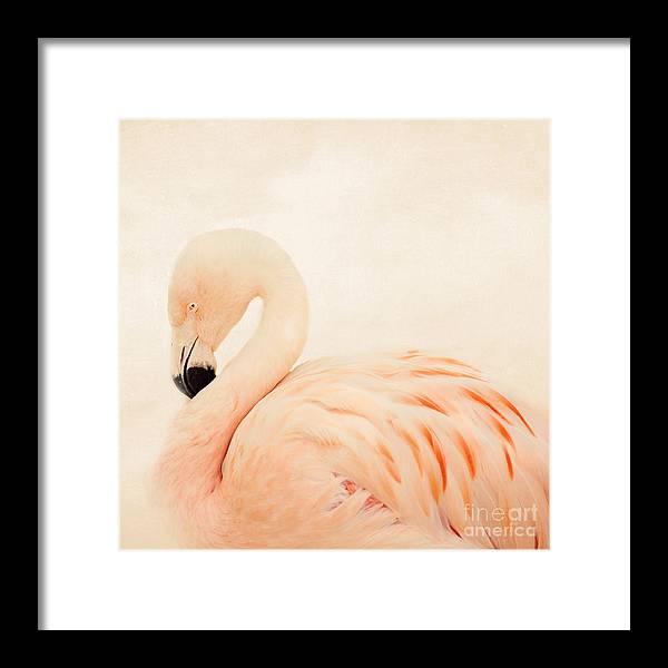 Pink Flamingo - Framed Print