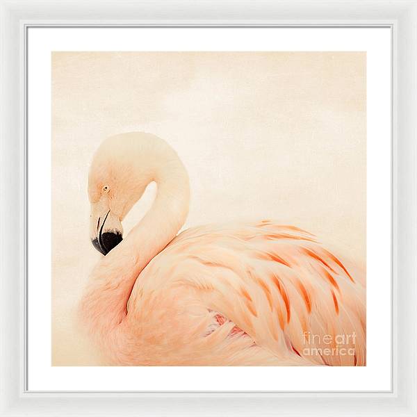 Pink Flamingo - Framed Print