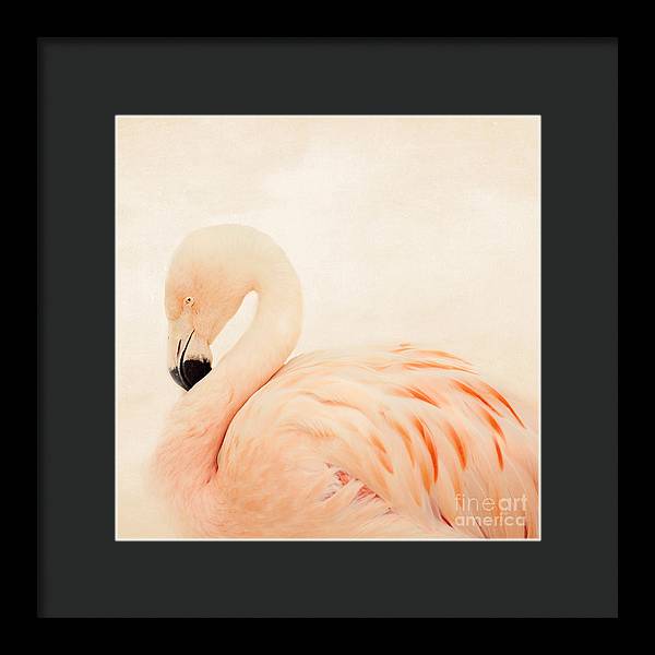 Pink Flamingo - Framed Print