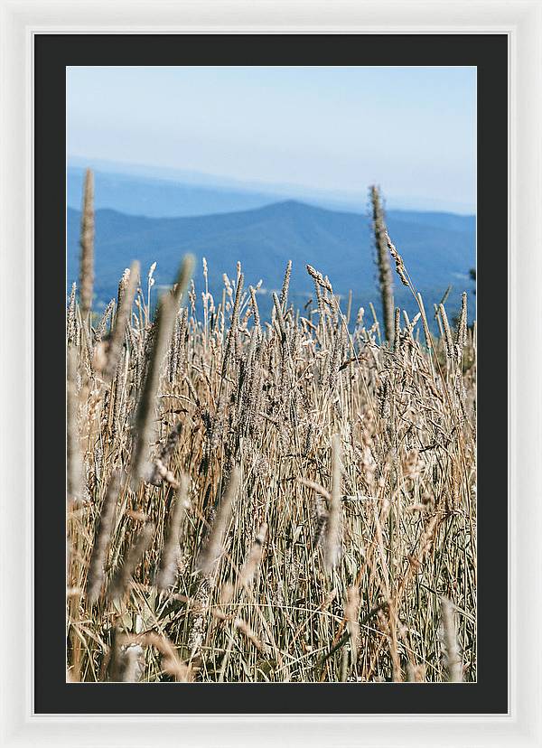 Shenandoah Skyline Landscape Print - Framed Wall Art - Erin Johnson Photography