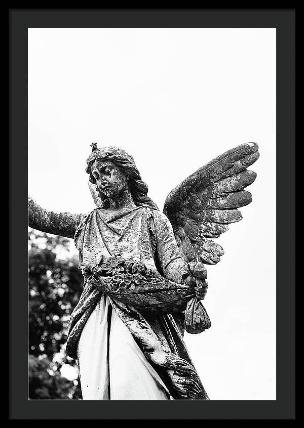 Nashville Cemetery Photography | Black and White Angel Mount Olivet - Framed Print