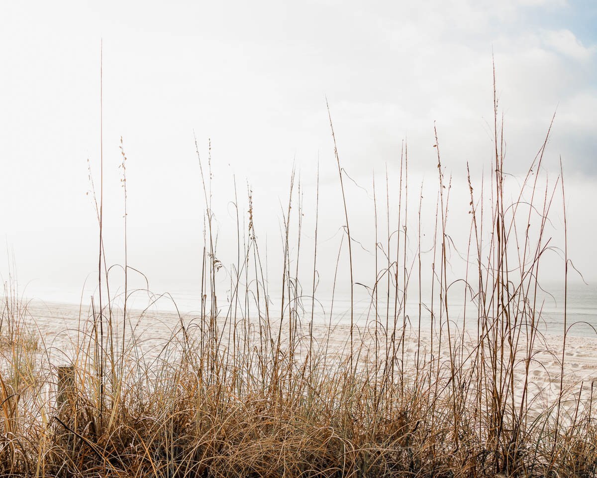 A photograph of a coastal landscape with beach grass in the foreground and the ocean in the background, likely part of a wall art print.