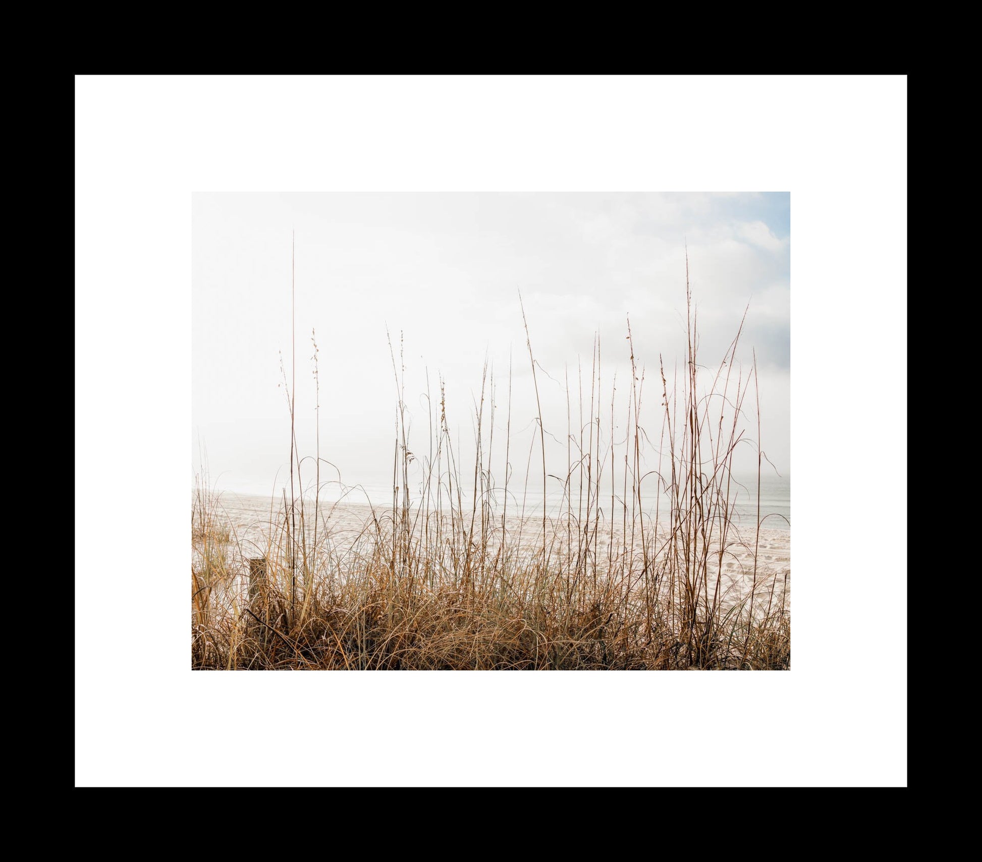 A photograph of a coastal landscape with beach grass in the foreground and the ocean in the background, likely part of a wall art print.