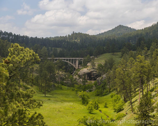 A scenic photo of the Beaver Creek Bridge in Wind Cave National Park, South Dakota, depicted with a green field and trees in the foreground, and a blue sky with clouds in the background.