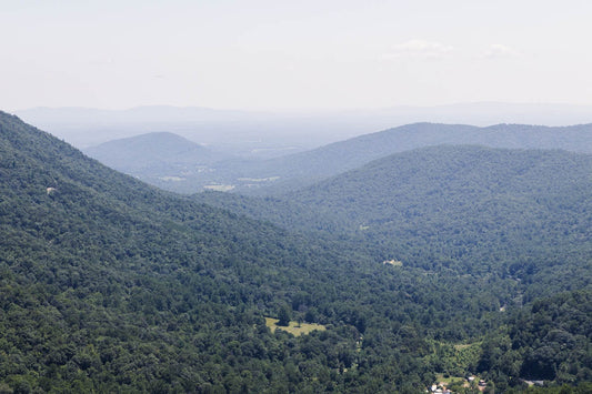 A high-resolution landscape photograph of the Shenandoah National Park featuring the Blue Ridge Mountains.