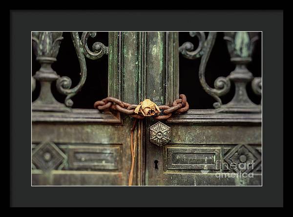 Locked by the rose - Framed Print