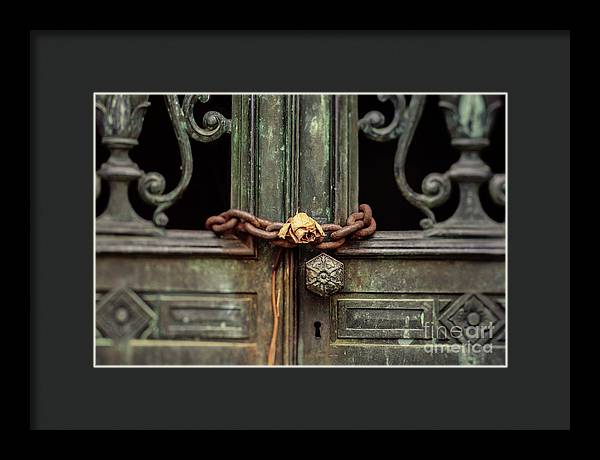 Locked by the rose - Framed Print