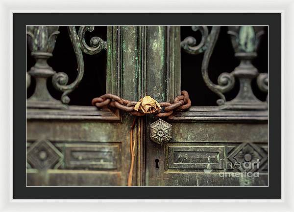 Locked by the rose - Framed Print