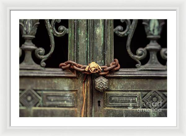 Locked by the rose - Framed Print