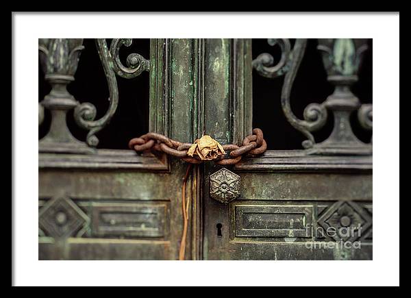 Locked by the rose - Framed Print