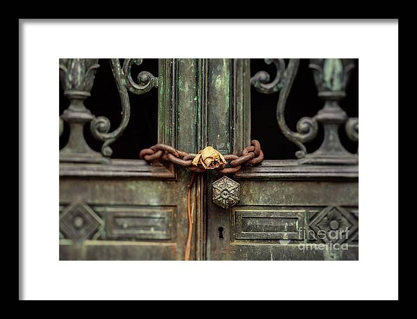 Locked by the rose - Framed Print