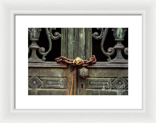 Locked by the rose - Framed Print