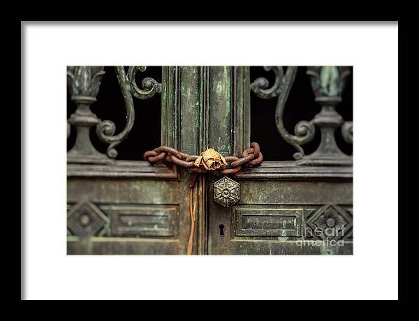 Locked by the rose - Framed Print