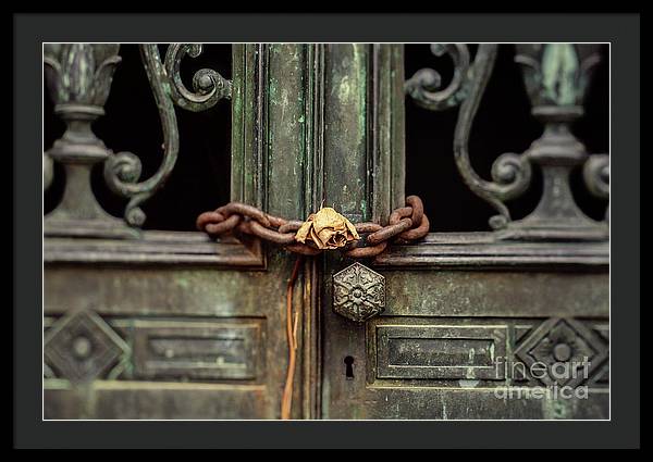 Locked by the rose - Framed Print