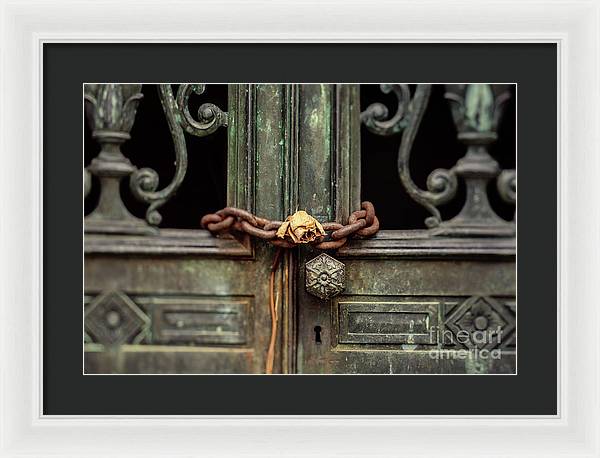 Locked by the rose - Framed Print