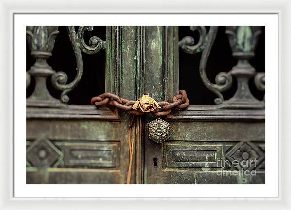 Locked by the rose - Framed Print