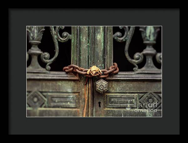 Locked by the rose - Framed Print