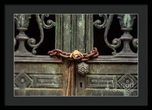 Locked by the rose - Framed Print