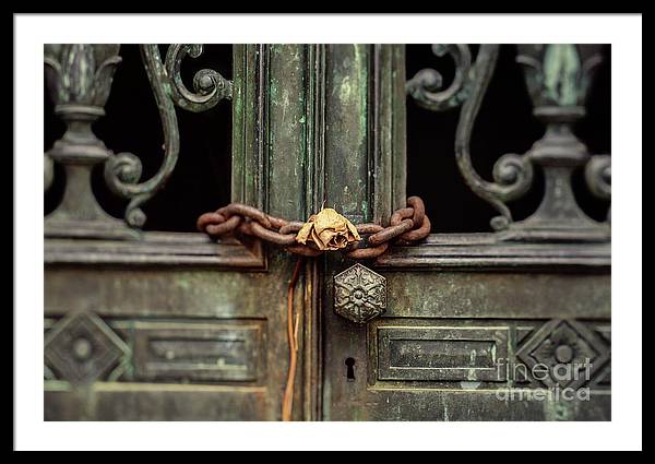 Locked by the rose - Framed Print