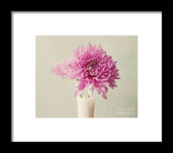 a pink flower in a white vase on a table