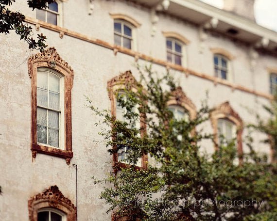 Georgia Photography Prints - Erin Johnson Photography