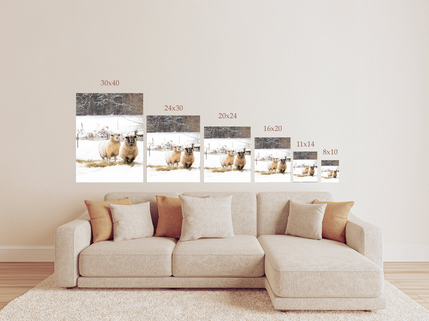 Snowy sheep photography print featuring two sheep standing in a winter pasture, rustic farmhouse wall art Size Chart