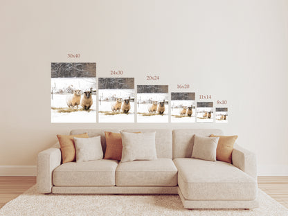 Snowy sheep photography print featuring two sheep standing in a winter pasture, rustic farmhouse wall art Size Chart