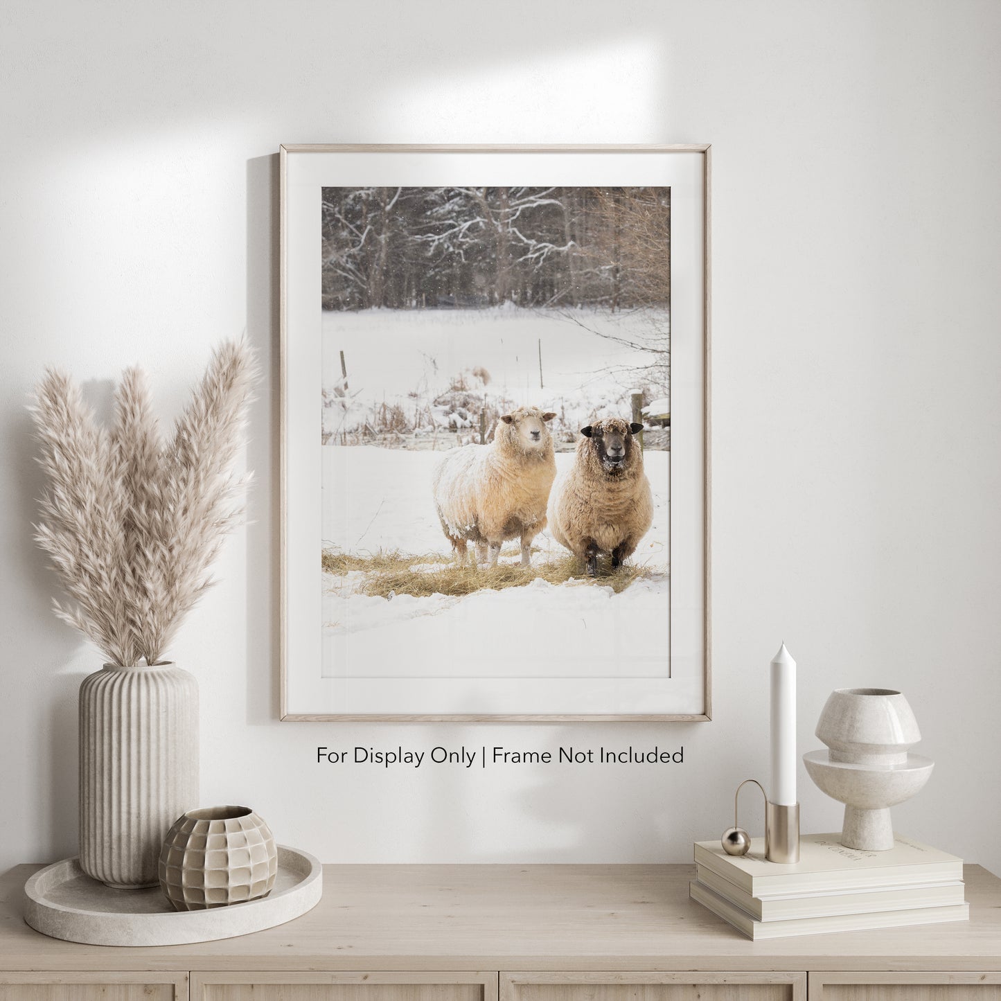 Snowy sheep photography print featuring two sheep standing in a winter pasture, rustic farmhouse wall art.