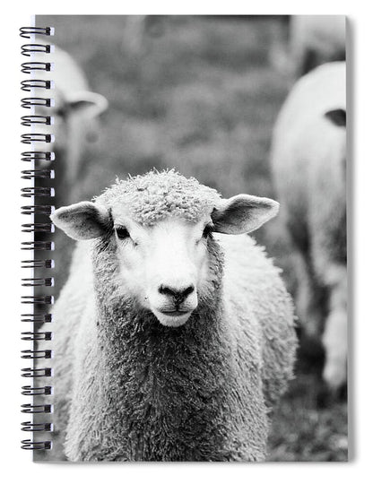 Black and White Sheep 1 - Spiral Notebook