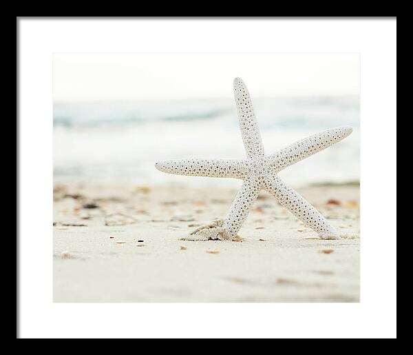 Starfish #4 - Framed Print