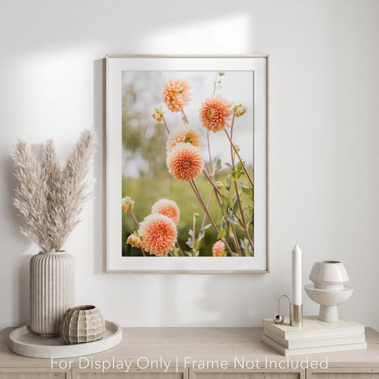 Orange Dahlia II | Nature Floral Photography Print