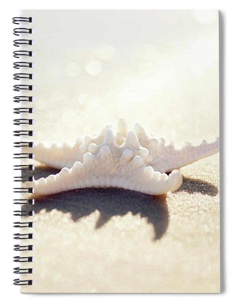 Sunlight Starfish 2 - Spiral Notebook
