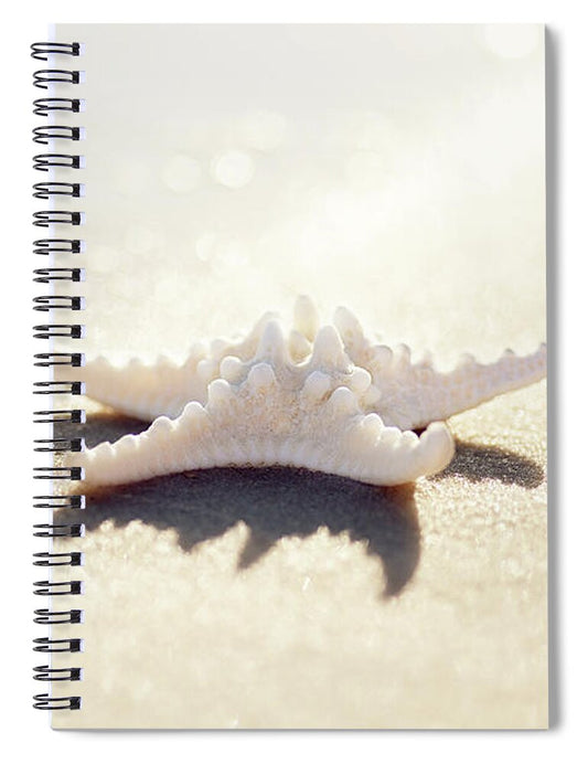 Sunlight Starfish 2 - Spiral Notebook