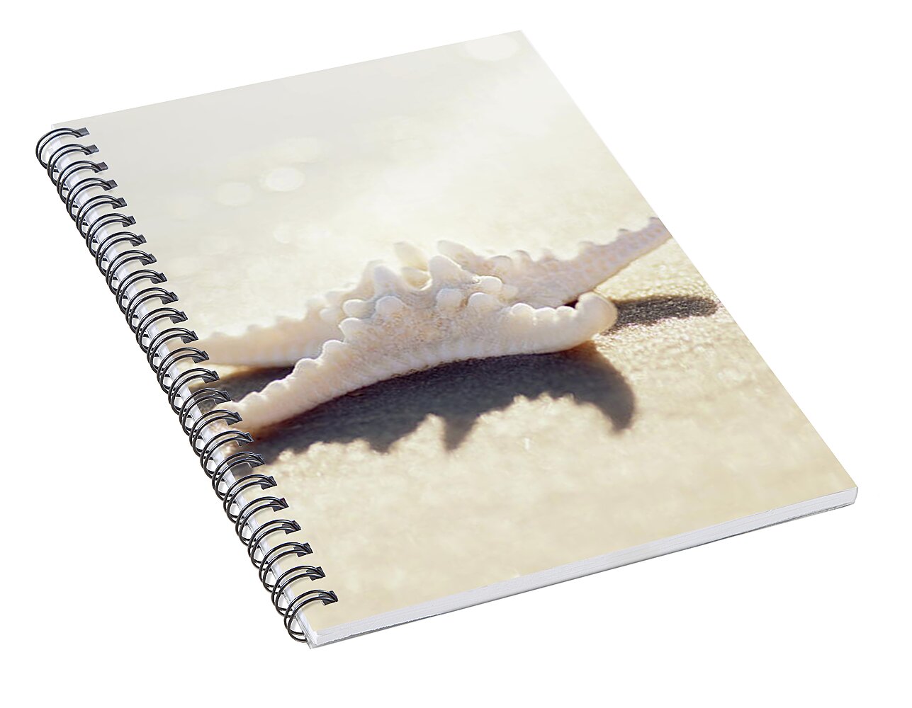 Sunlight Starfish 2 - Spiral Notebook