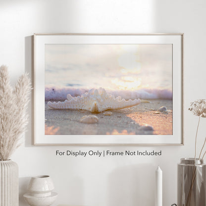 Sunlight Starfish | Beach Landscape Photography Print