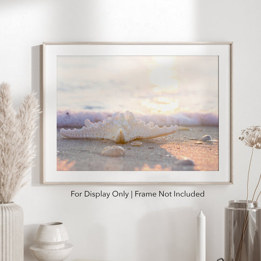 Sunlight Starfish | Beach Landscape Photography Print