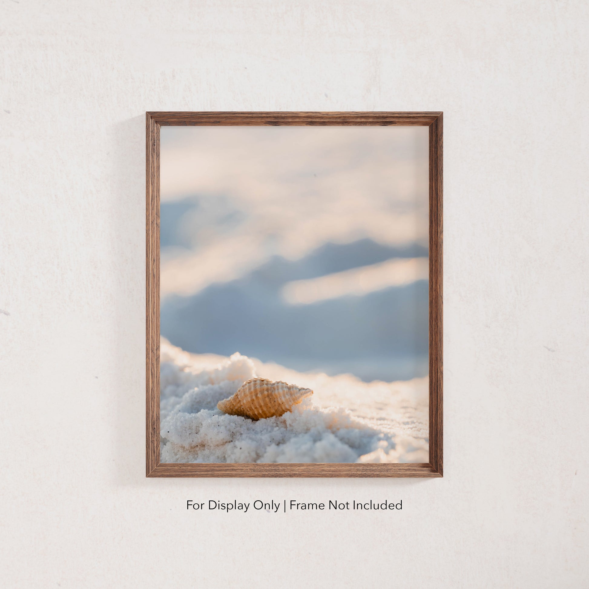 Seashell resting on white sand with a soft blurred background, coastal beach wall art.