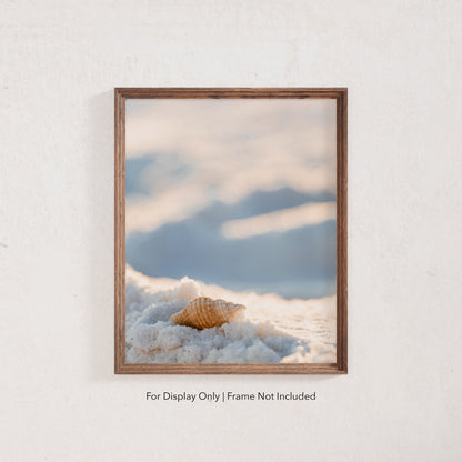 Seashell resting on white sand with a soft blurred background, coastal beach wall art.
