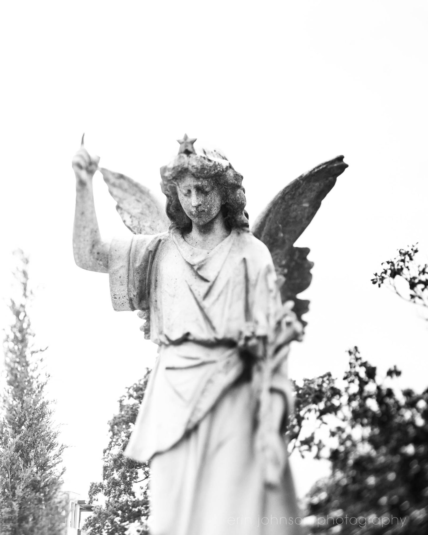 Star Angel in Black and White | Atlanta Georgia Cemetery Print