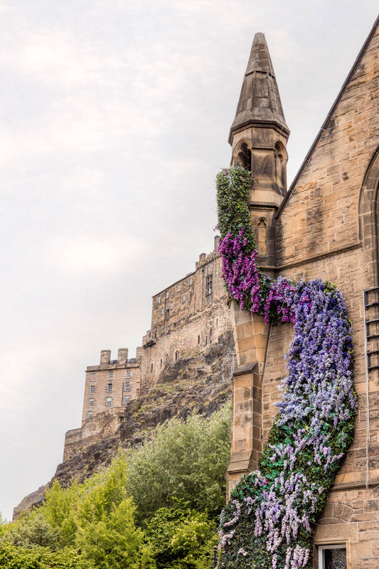 Edinburgh Scotland Unframed Print or Canvas - Wisteria Floral Wall Art