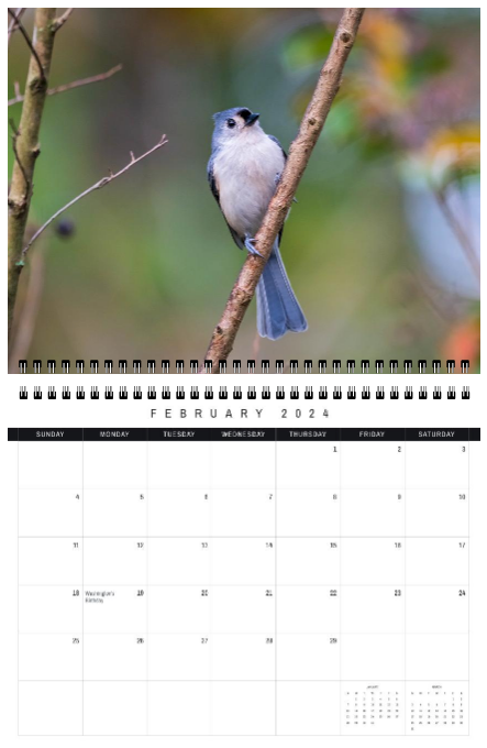 2024 Bird Wall Calendar