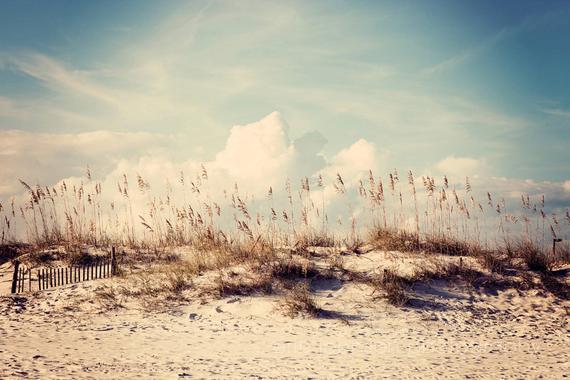 Sand Dunes | Gulf Shores, Alabama