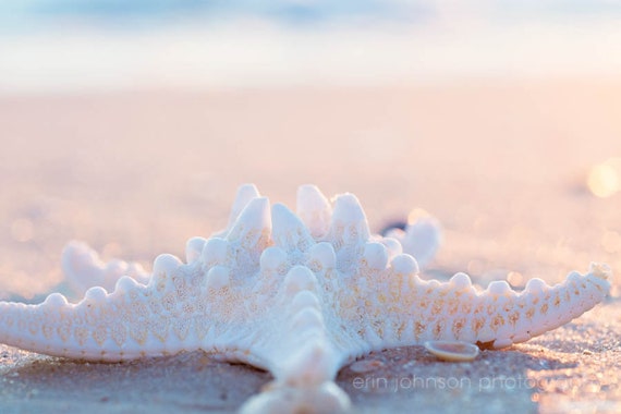 a starfish on the sand of a beach