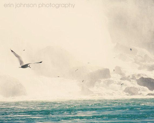 a flock of birds flying over a body of water