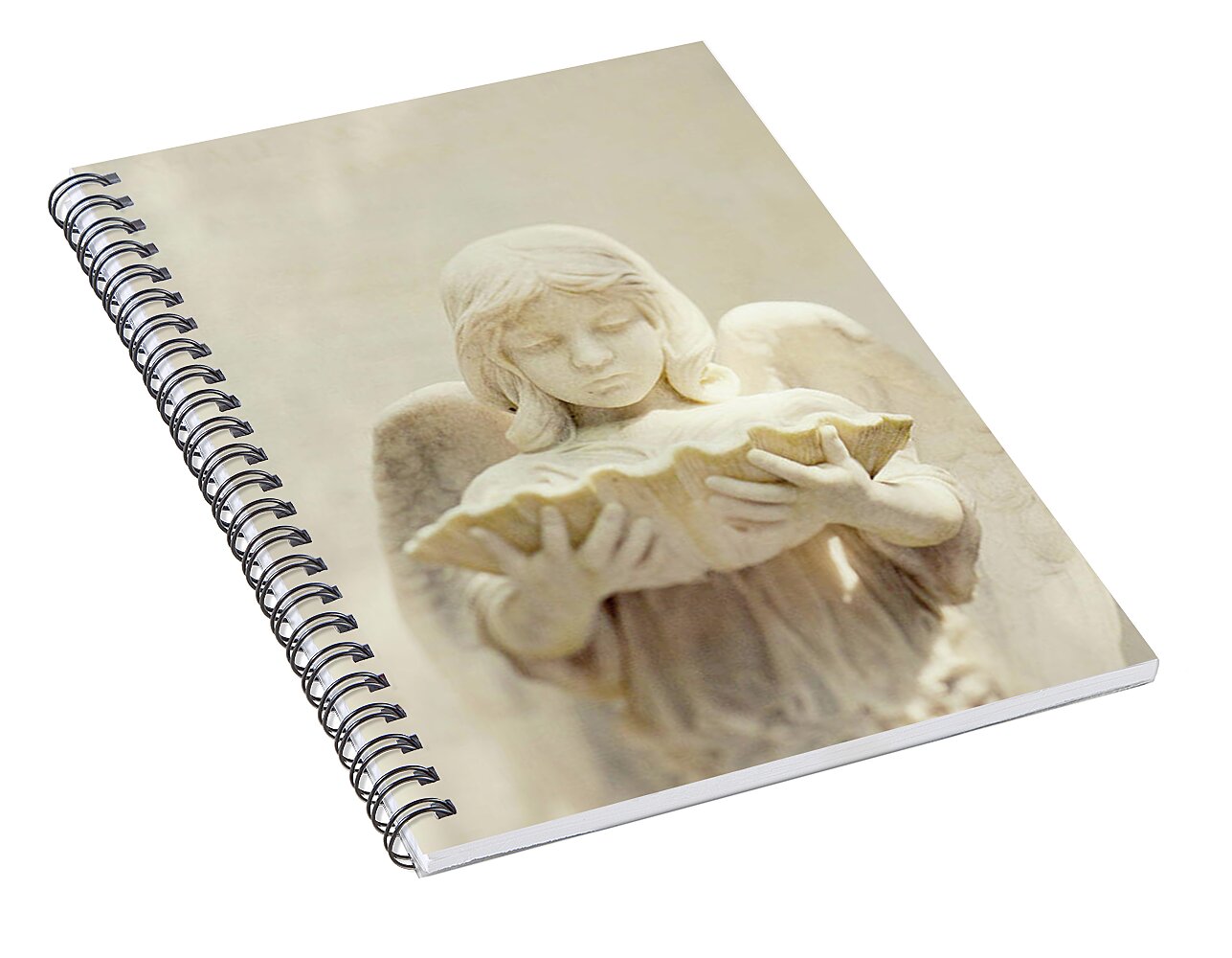Baldwin Angel - Spiral Notebook