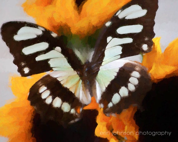 a painting of a butterfly on a sunflower