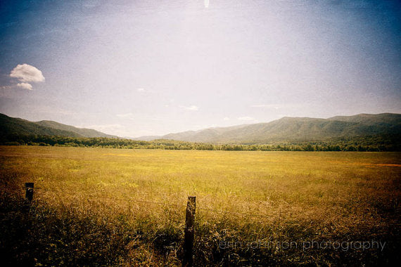 a field with a fence and mountains in the background