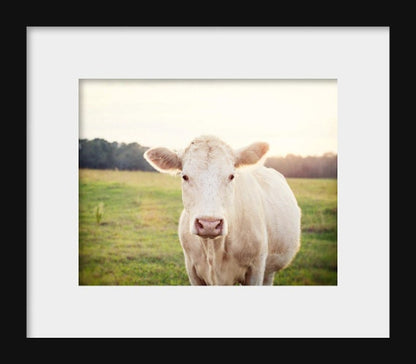 The Cow | Farm Animal Wall Art